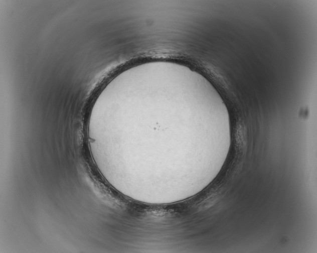 X0000111950540200908241207