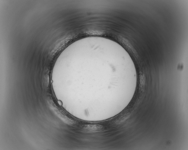 X0000111950541200908241207