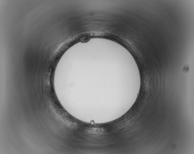 X0000111950543200908241207