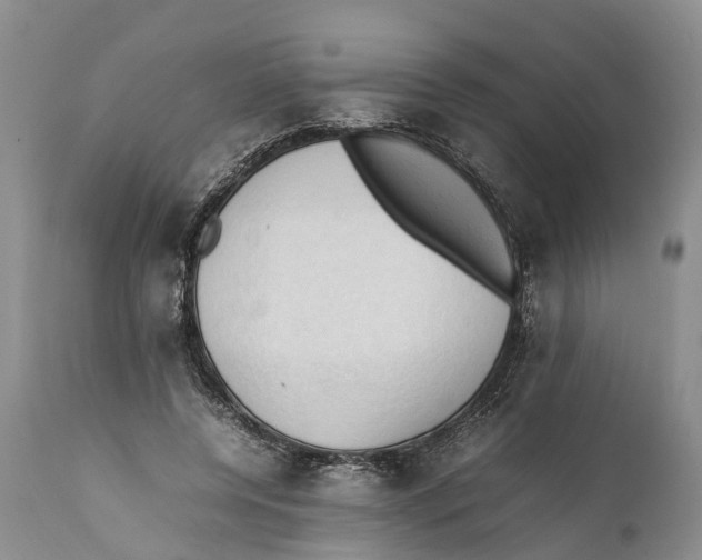 X0000111950544200908241207