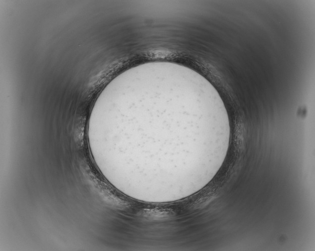 X0000111950545200908241207