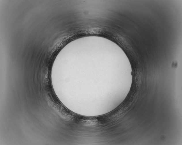 X0000111950548200908241207
