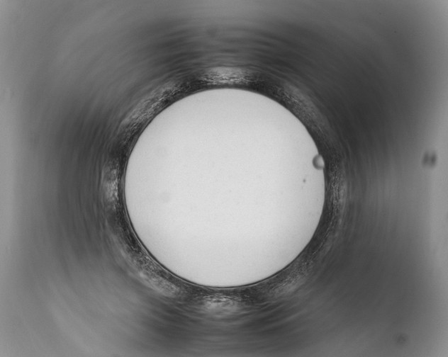 X0000111950549200908241207