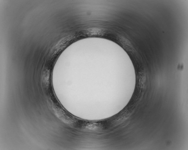 X0000111950550200908241207