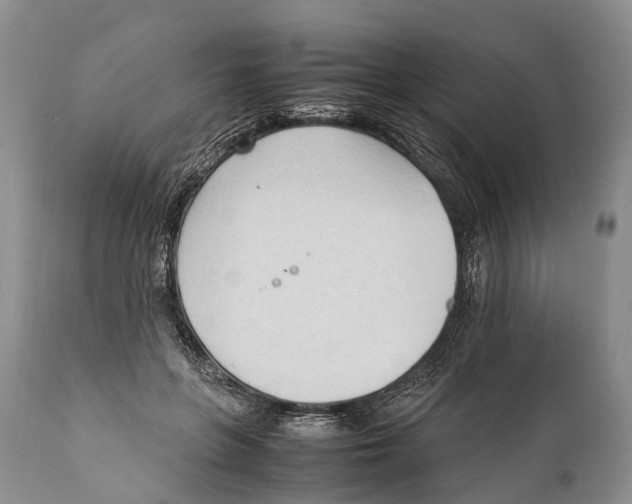 X0000111950551200908241207