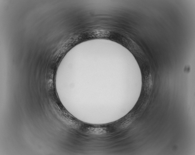 X0000111950553200908241207
