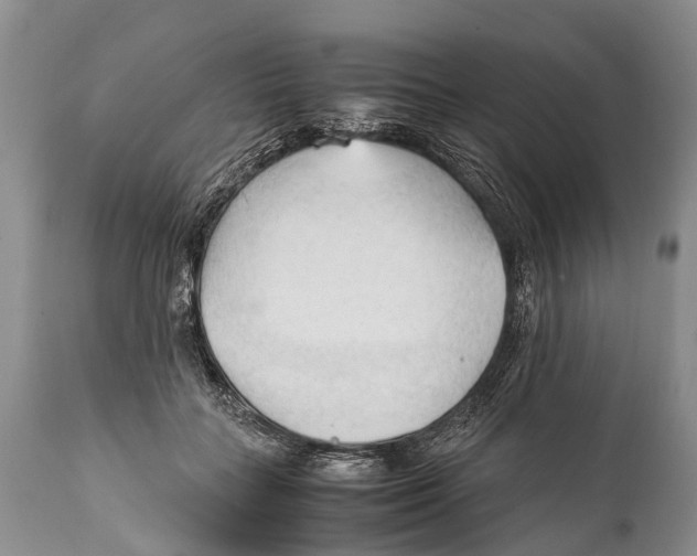 X0000111950555200908241207