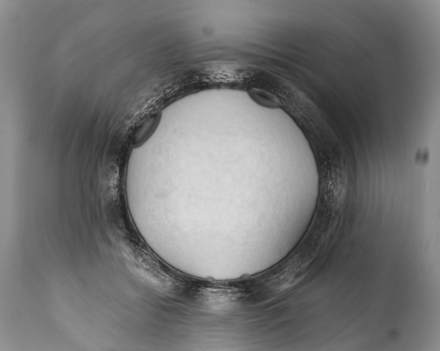 X0000111950556200908241207