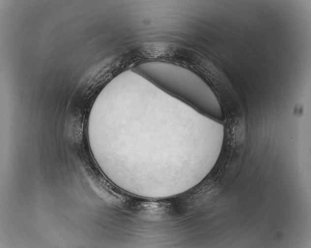 X0000111950558200908241207