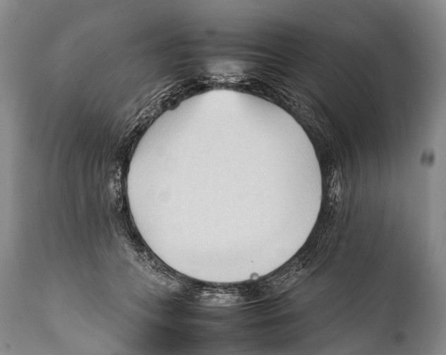 X0000111950559200908241207