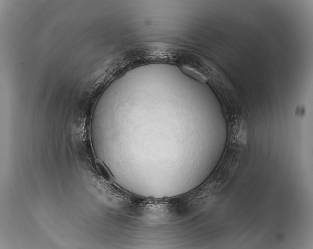 X0000111950560200908241207