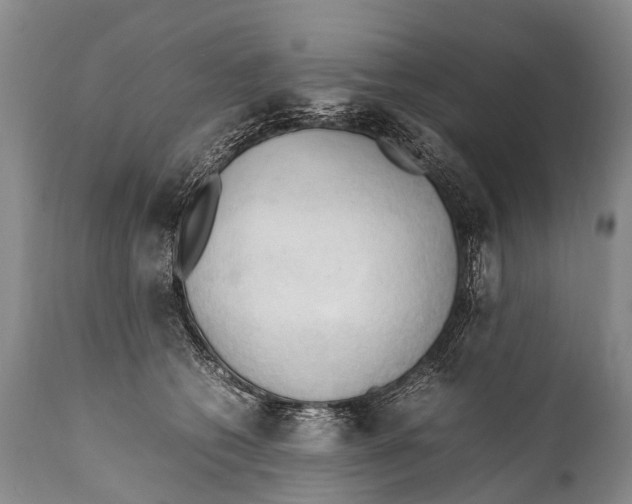 X0000111950562200908241207
