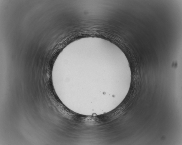 X0000111950566200908241207