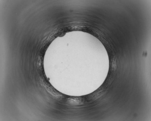 X0000111950567200908241207