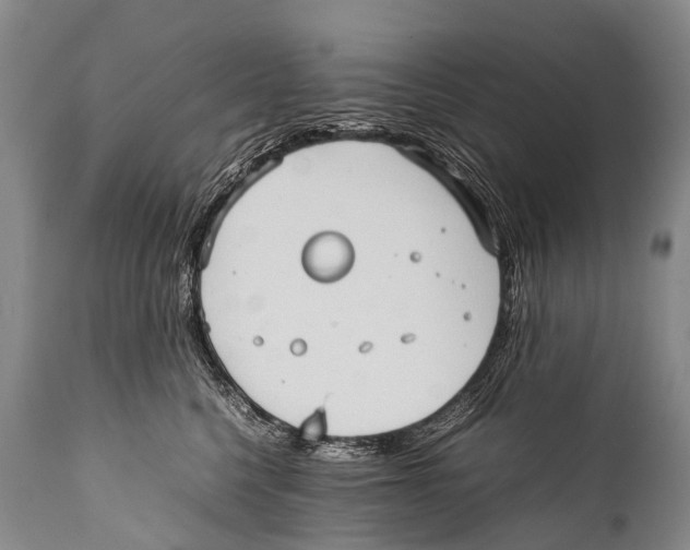 X0000111950568200908241207
