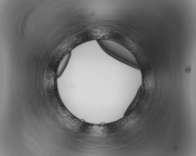 X0000111950570200908241207