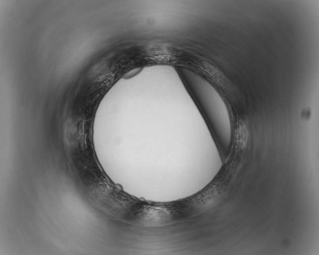 X0000111950572200908241207
