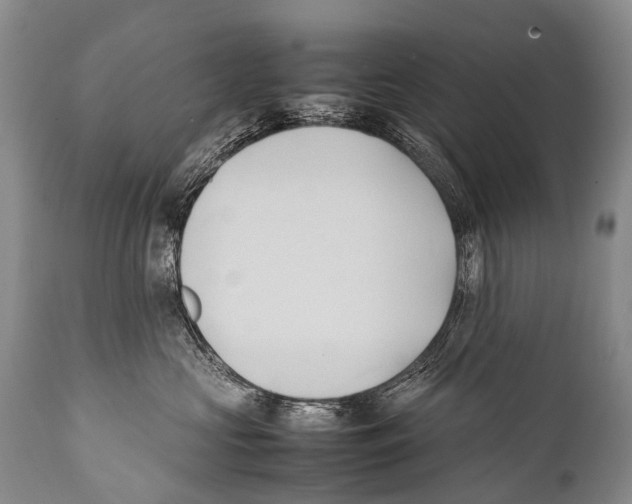 X0000111950573200908241207