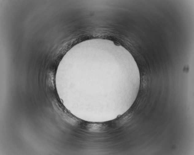 X0000111950575200908241207