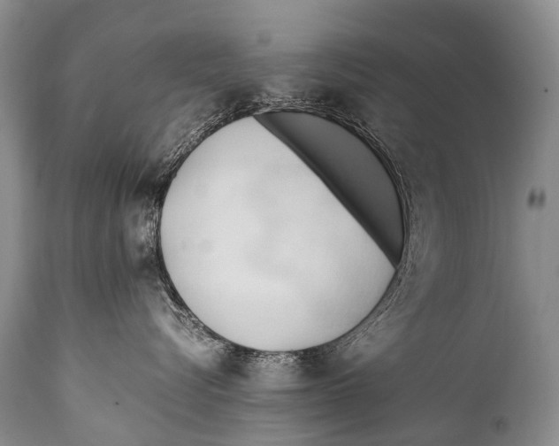 X0000111950576200908241207