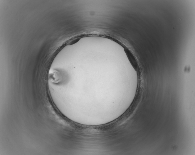 X0000111950577200908241206