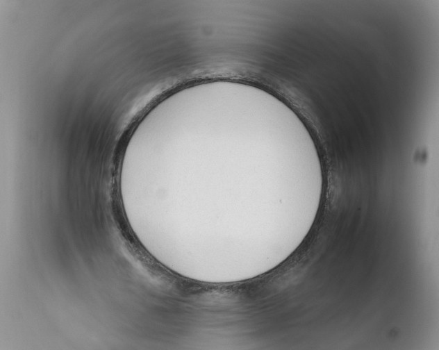 X0000111950578200908241206