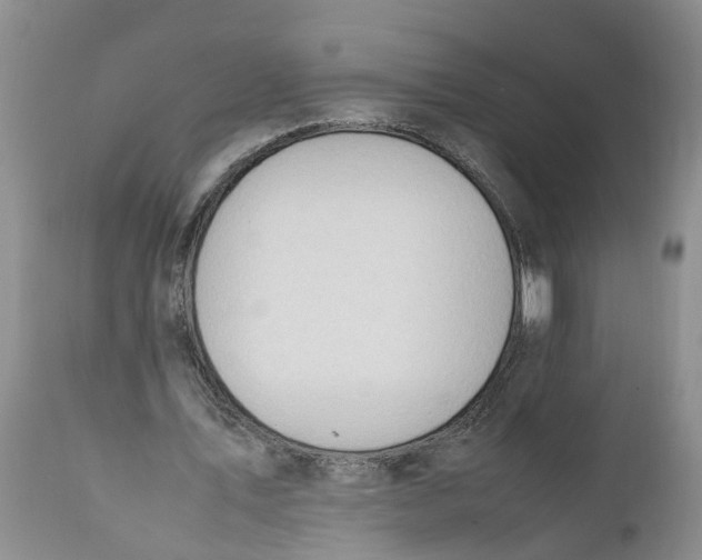 X0000111950579200908241206