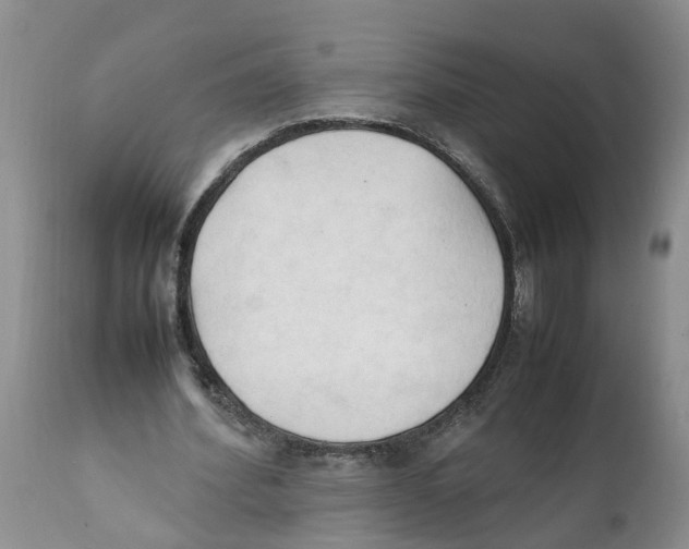 X0000111950580200908241206