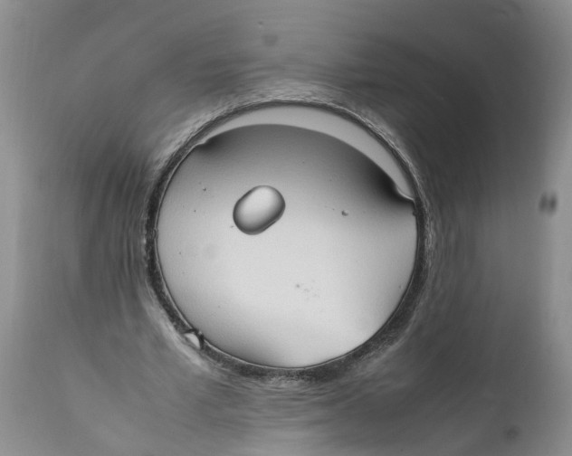 X0000111950581200908241206