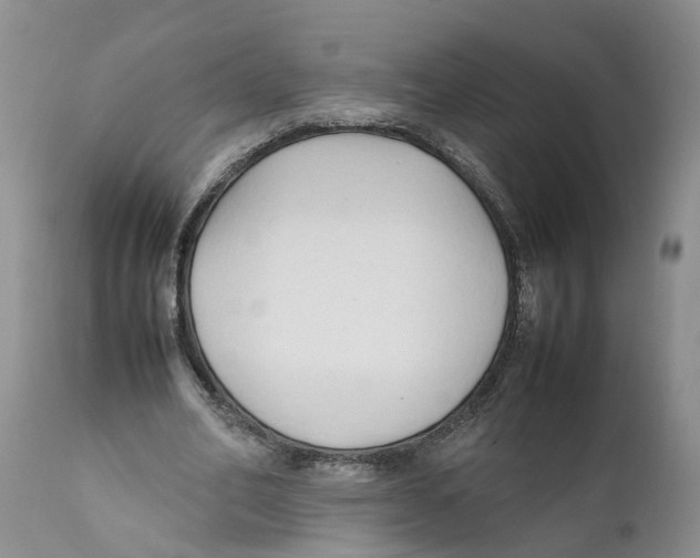 X0000111950582200908241206