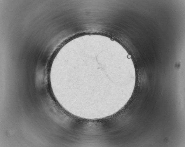 X0000111950584200908241206