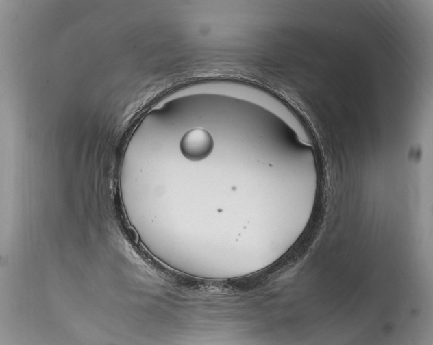 X0000111950585200908241206