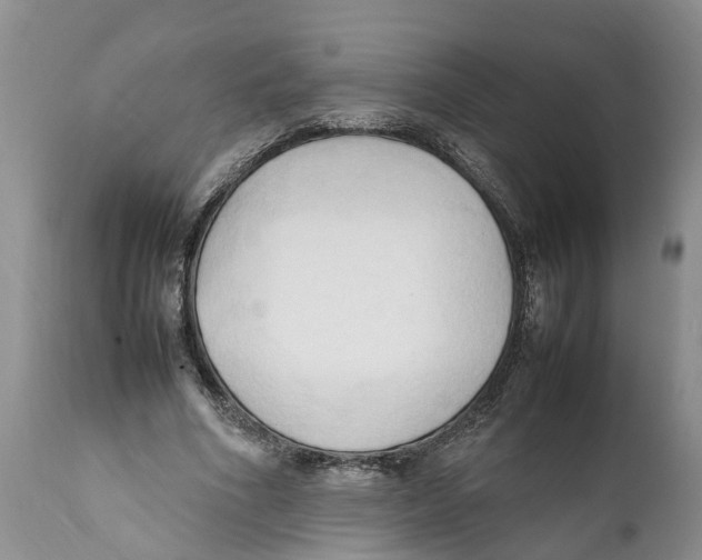 X0000111950586200908241206