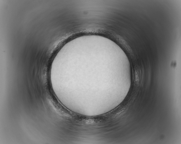 X0000111950588200908241206