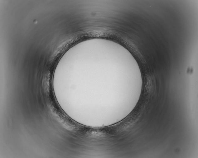 X0000111950590200908241206