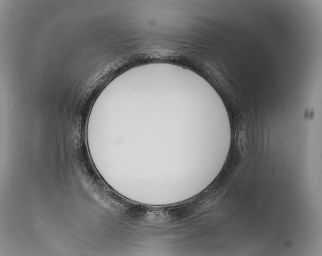 X0000111950591200908241206