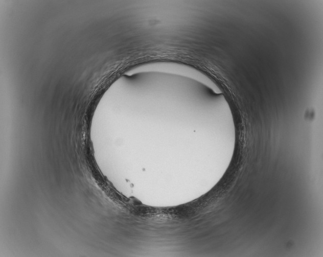 X0000111950593200908241206