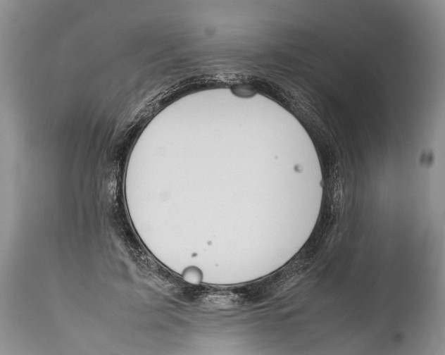 X0000111950595200908241206