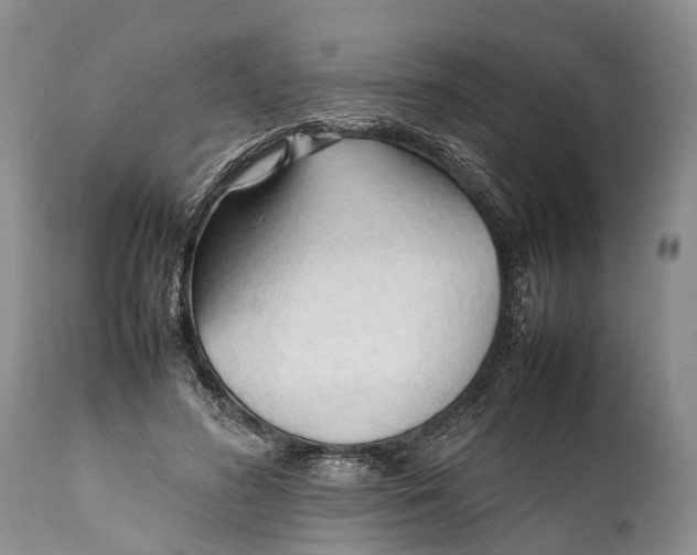 X0000111950596200908241206