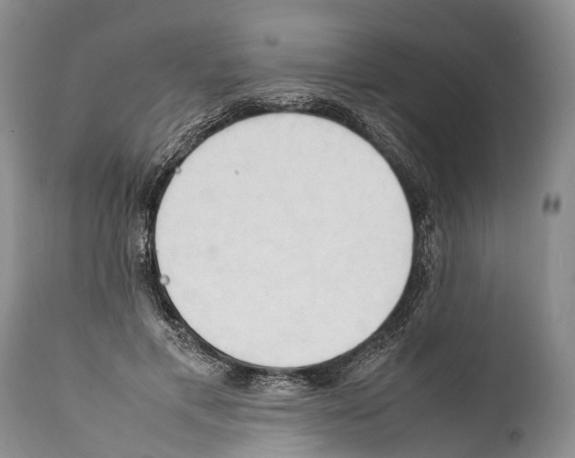 X0000111950597200908241206