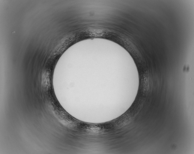 X0000111950598200908241206