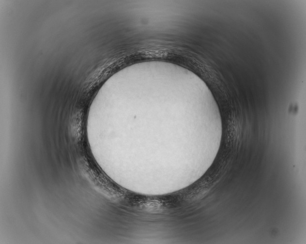 X0000111950600200908241206
