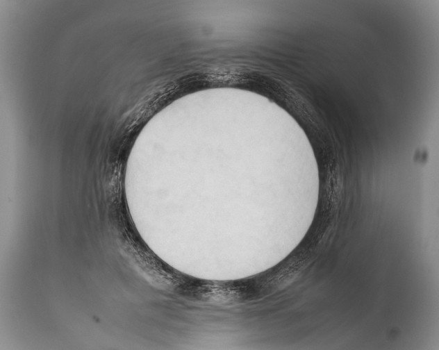 X0000111950601200908241206