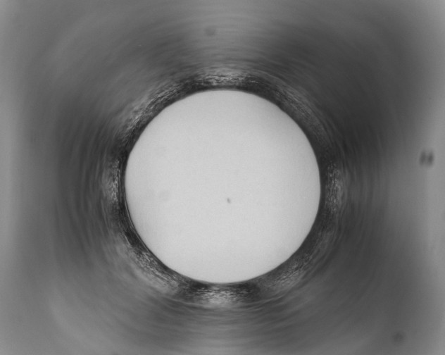 X0000111950604200908241206