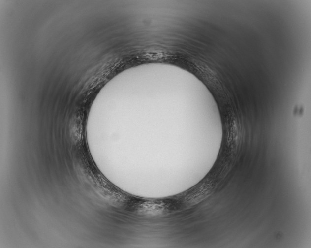 X0000111950606200908241206