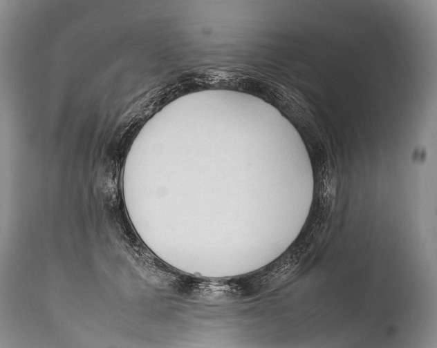 X0000111950607200908241206
