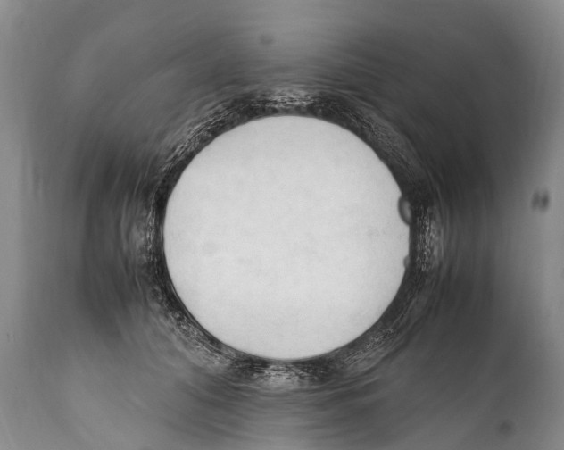X0000111950608200908241206