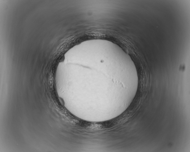 X0000111950609200908241206