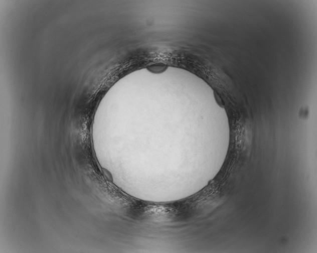 X0000111950611200908241206