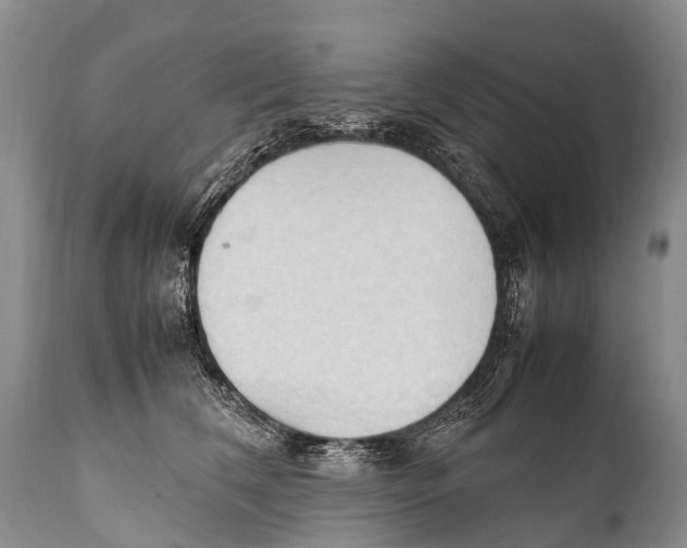 X0000111950612200908241206